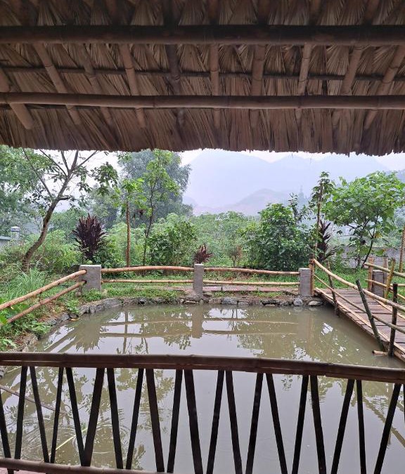 Ha Giang Bed & Breakfast | Field Homestay