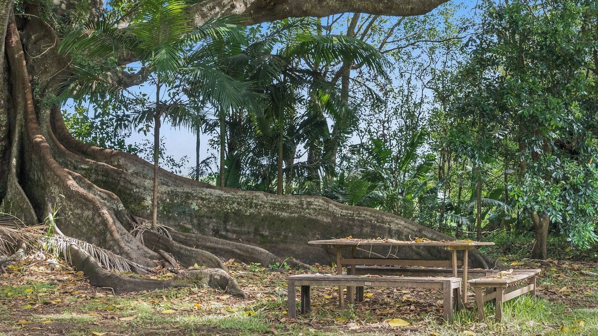 Teven House | Fig Tree House