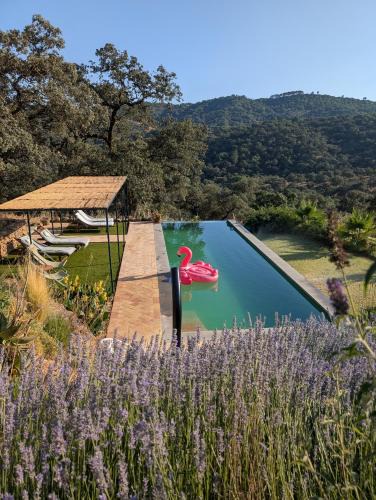 Calabazares Apartment | Finca Bravo