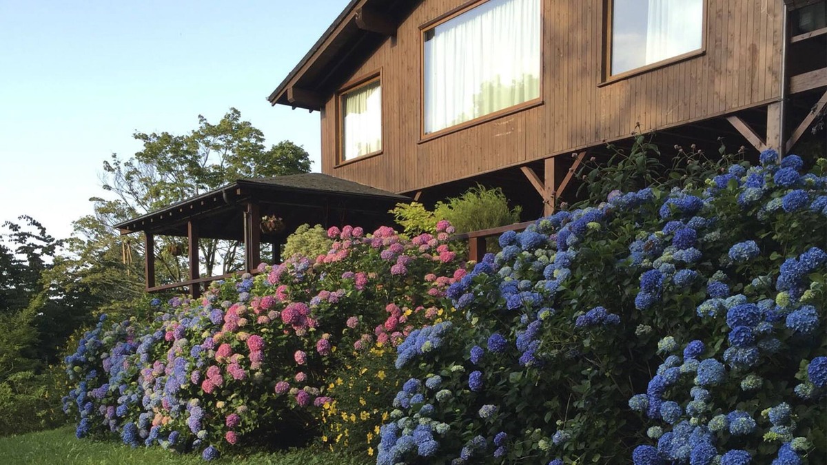 Luzmela House | Finca la Peñiga en Mazcuerras, Cantabria