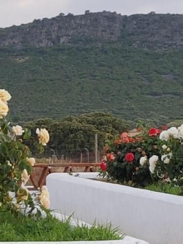 Merida Villa | Finca La Rinconada