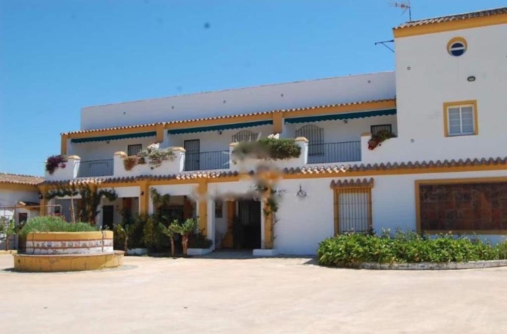 Barrio Nuevo House | Finca La Tacita - Petunia
