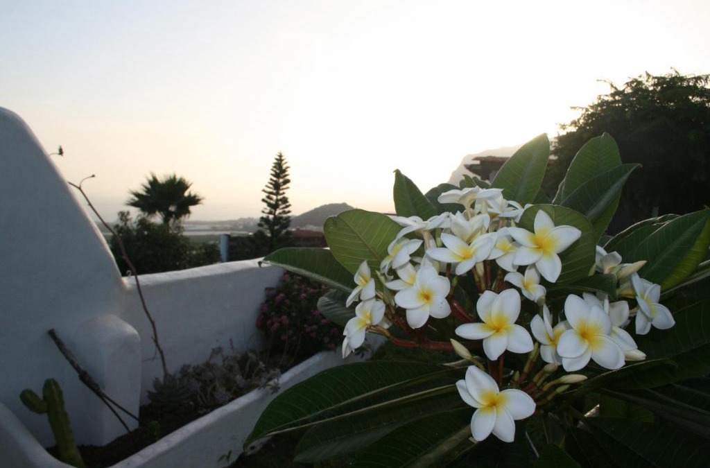 Los Silos House | Finca-Las Mariposas 2