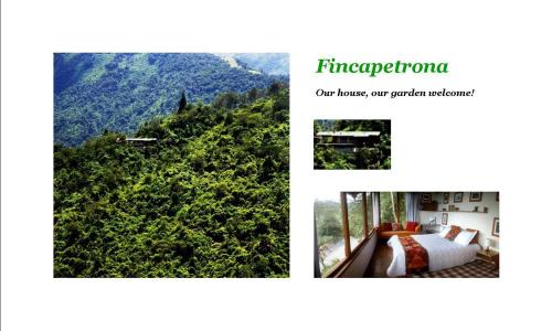 Yunguilla Bed & Breakfast | Finca Petrona
