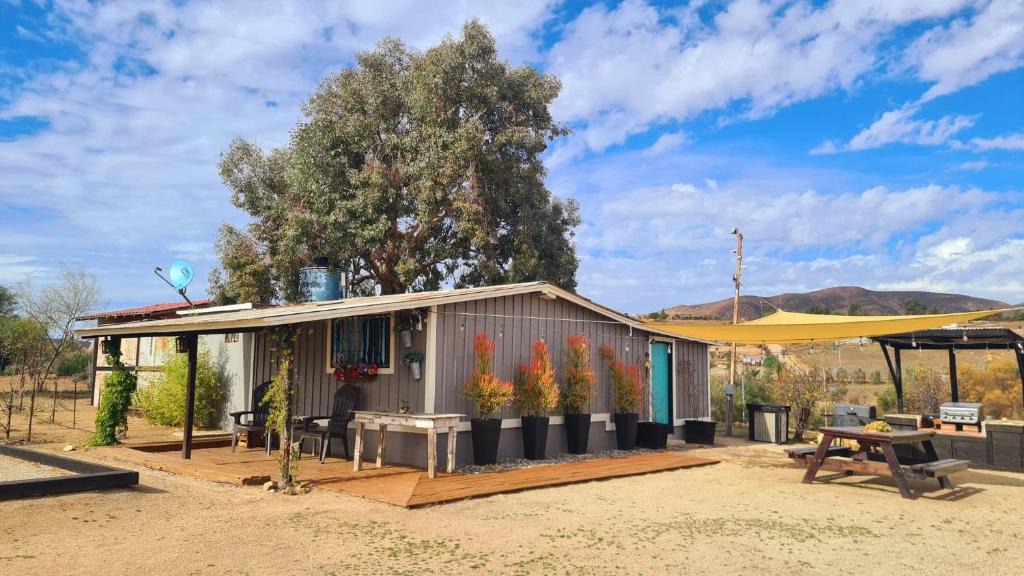 Valle de Guadalupe House | Finca Vidandrei CASA EUCALIPTO