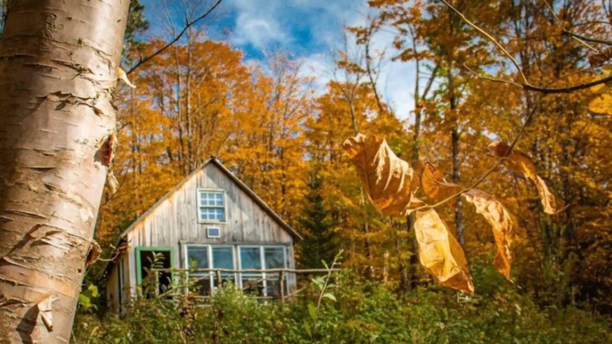 Walden Cabin | Find renewal in a charming off-grid, Vermont cabin with stunning mountain views.