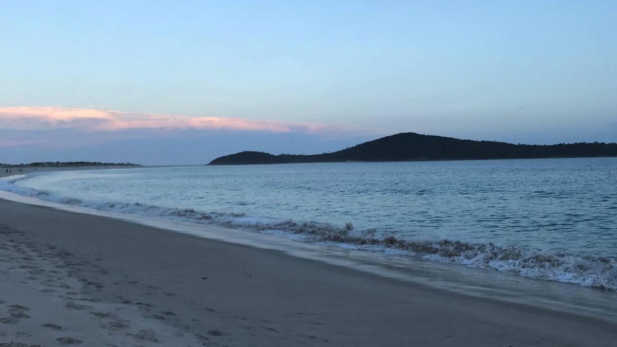 Fingal Bay House | Fingal Bay, Port Stephens, dog friendly