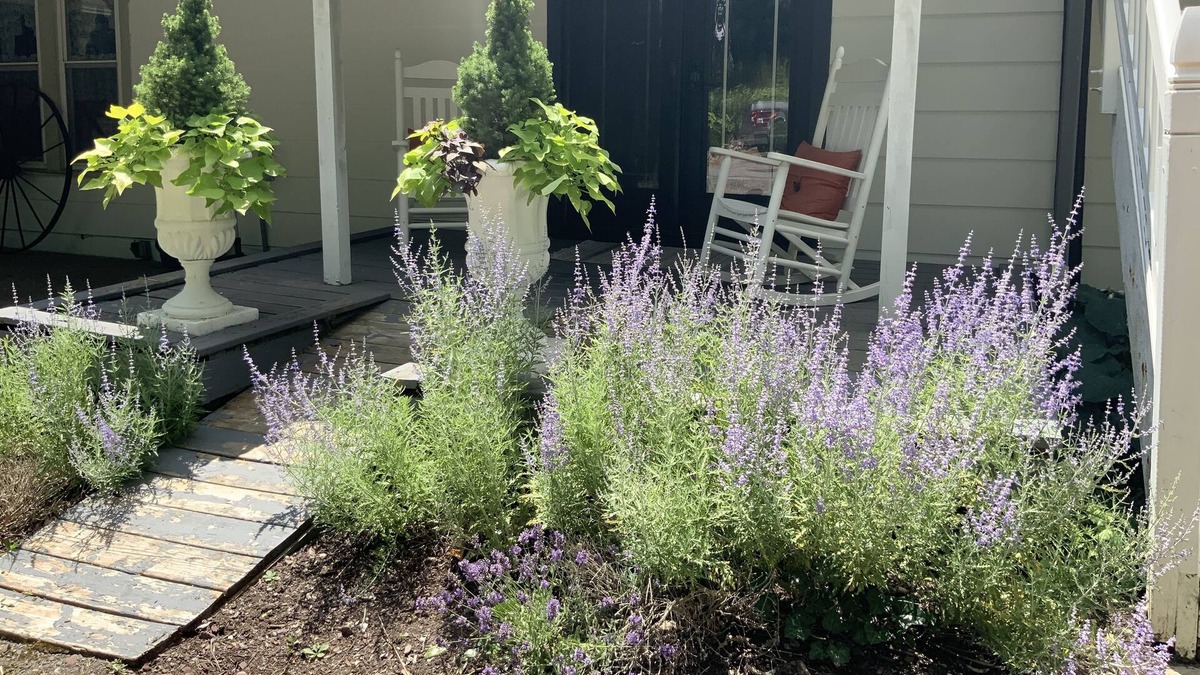 Penn Yan Apartment | Finger Lakes Efficiency Apt
