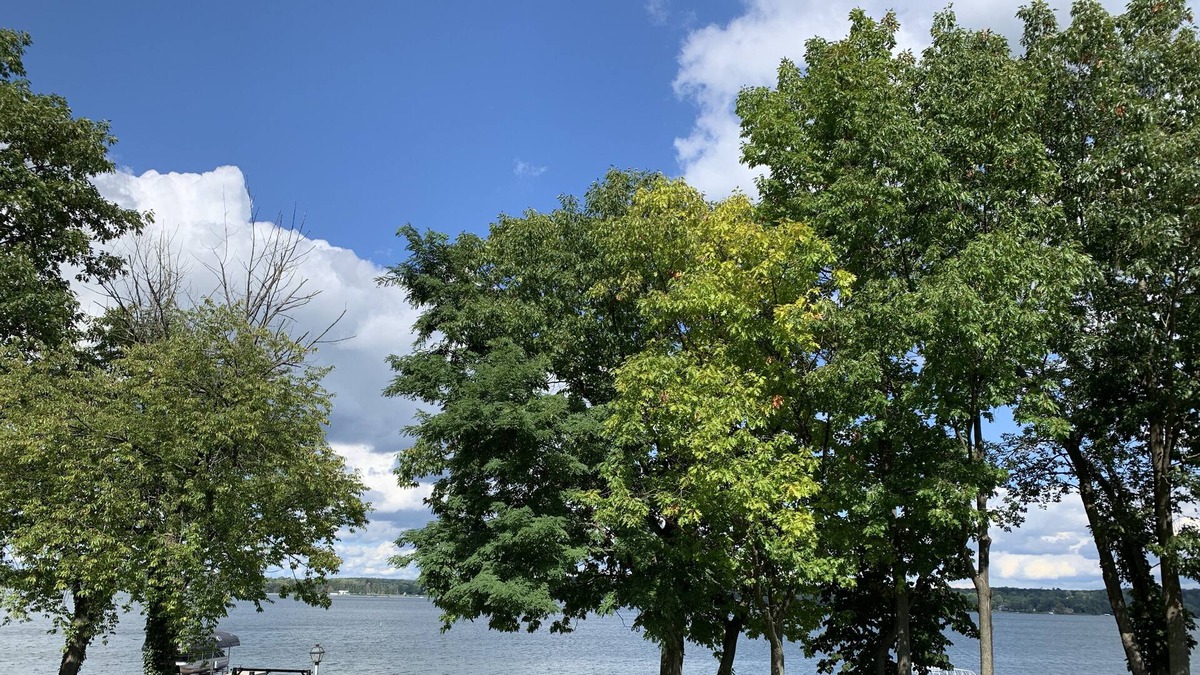 Auburn House | FingerLakes Home close to everything!