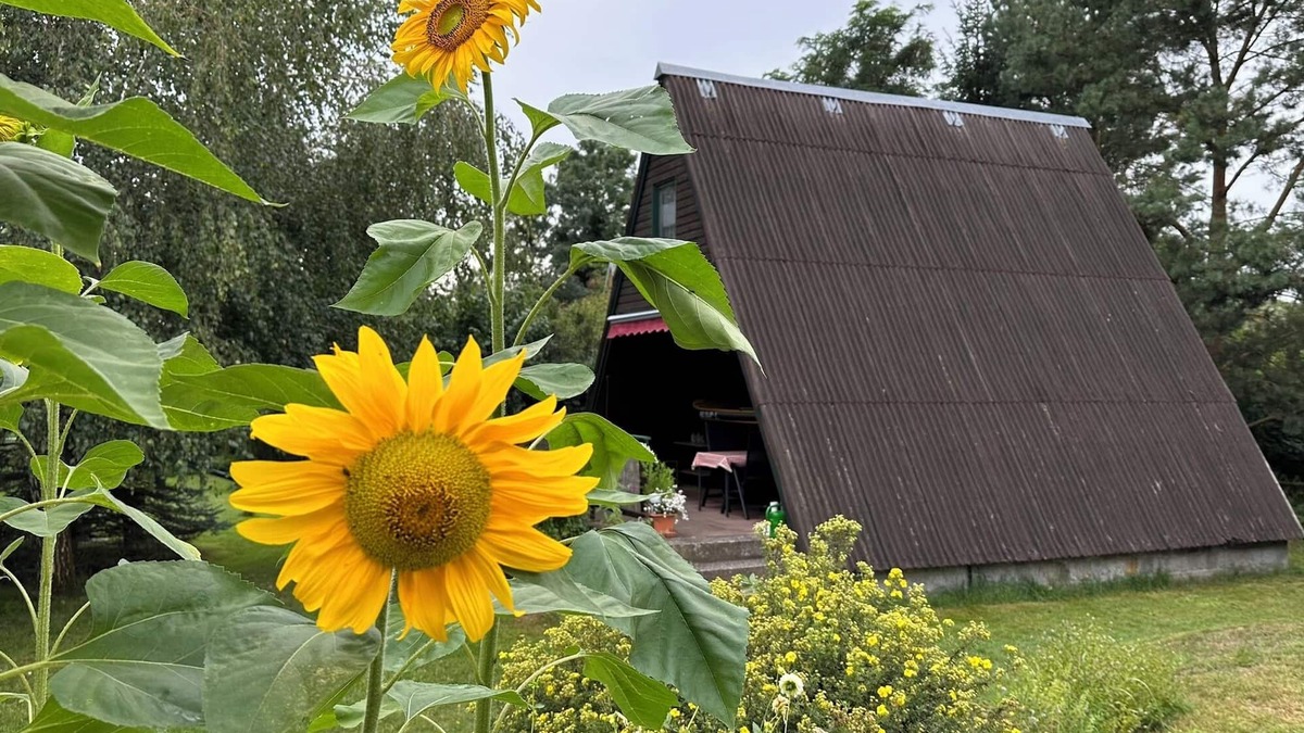 Lochow House | Finnhütten Waldesruh, cozy vacation home in Westhavelland - Cabin A.