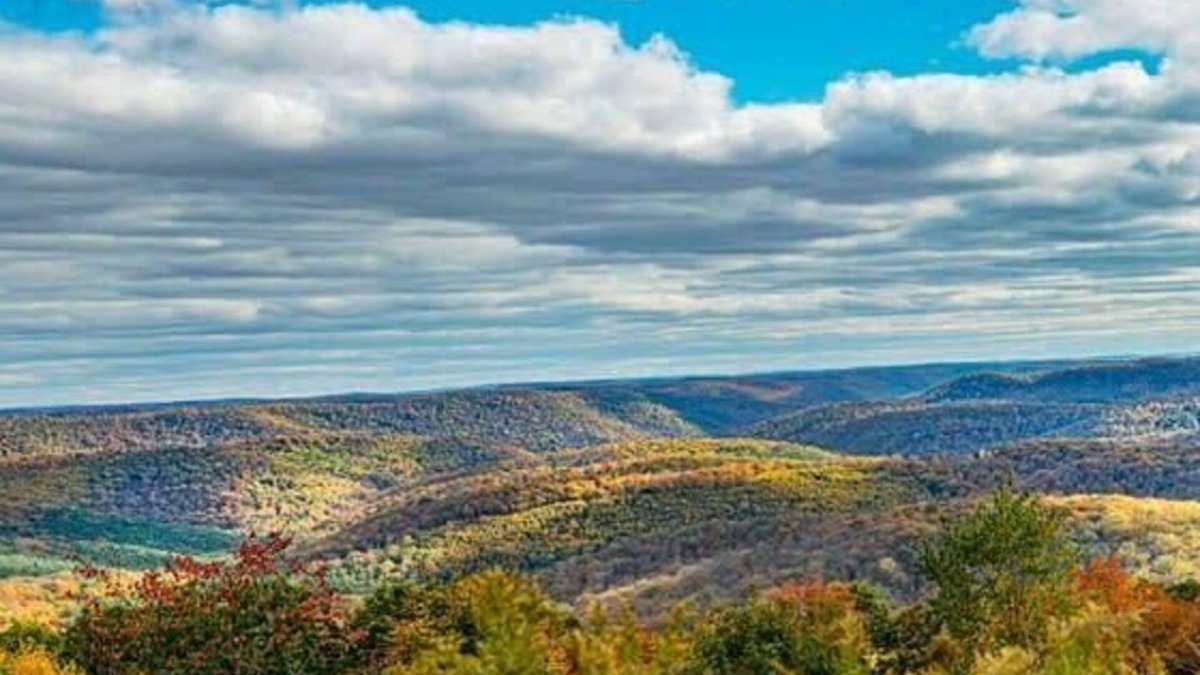 Coudersport Cabin | Fire Pit*1G WiFi*Stargazing Cottage Cherry Springs