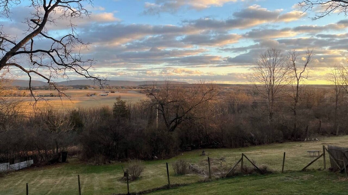 Bellefonte House | Fire Pit + Valley Views + 16 min PSU + Sleeps 6