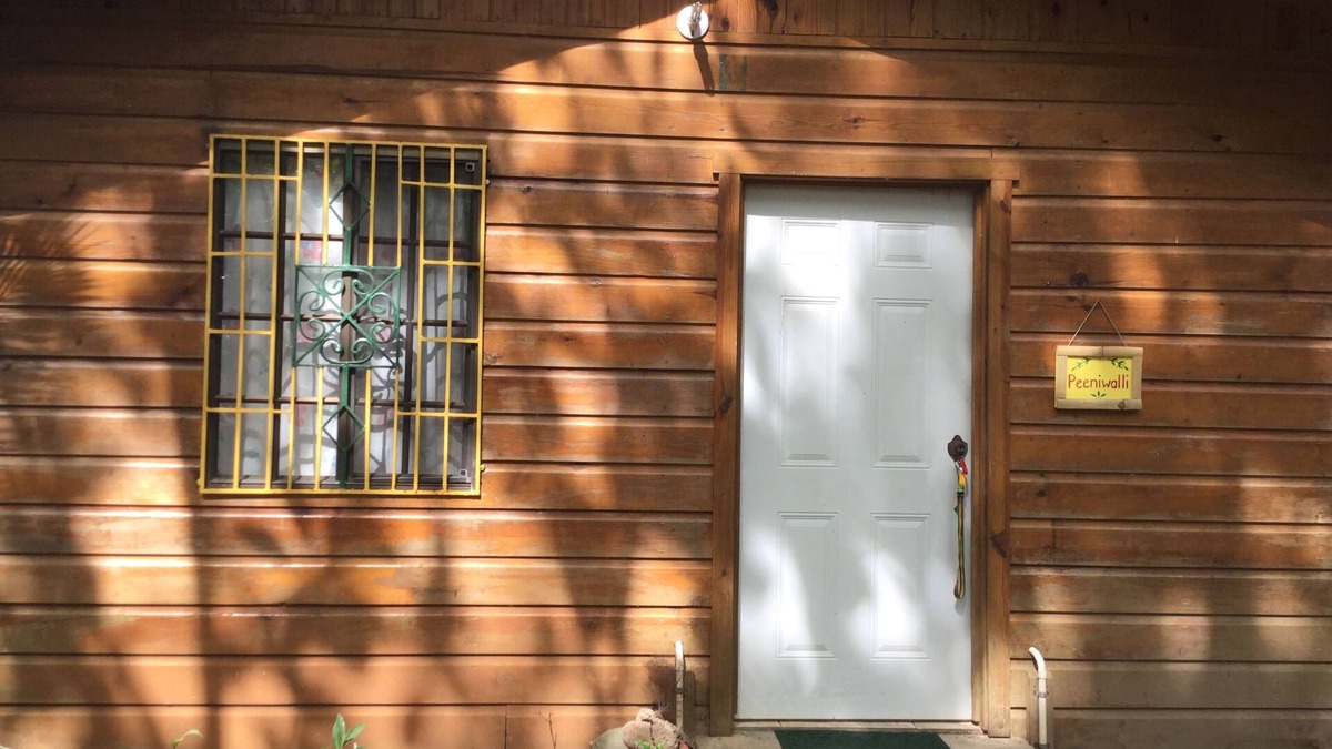 Green Island House | Firefly Seaside Cabin at at Half Moon Beach, Jamaica. 15 minutes to Negril.