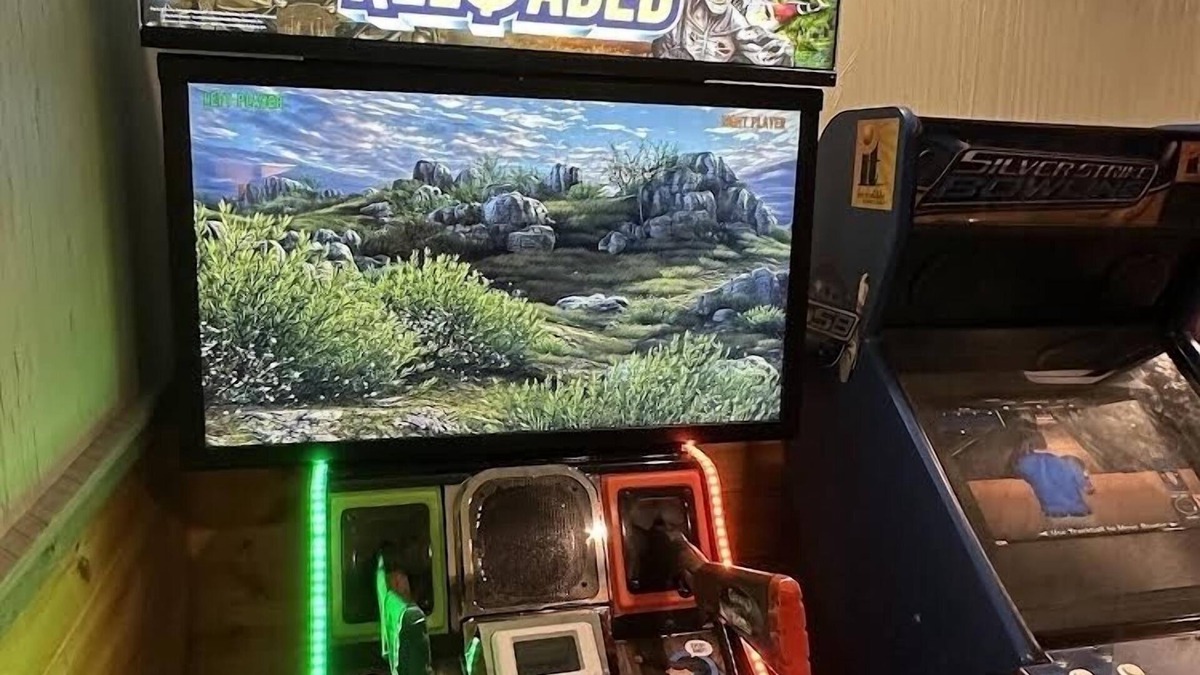 Spring Brook House | First Class 2 - Arcade/Firepit/ADA/NEW BUCK HUNTER RELOADED