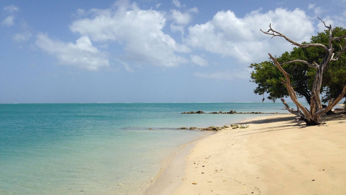 Buccoo Hotel | Fish Tobago Guesthouse