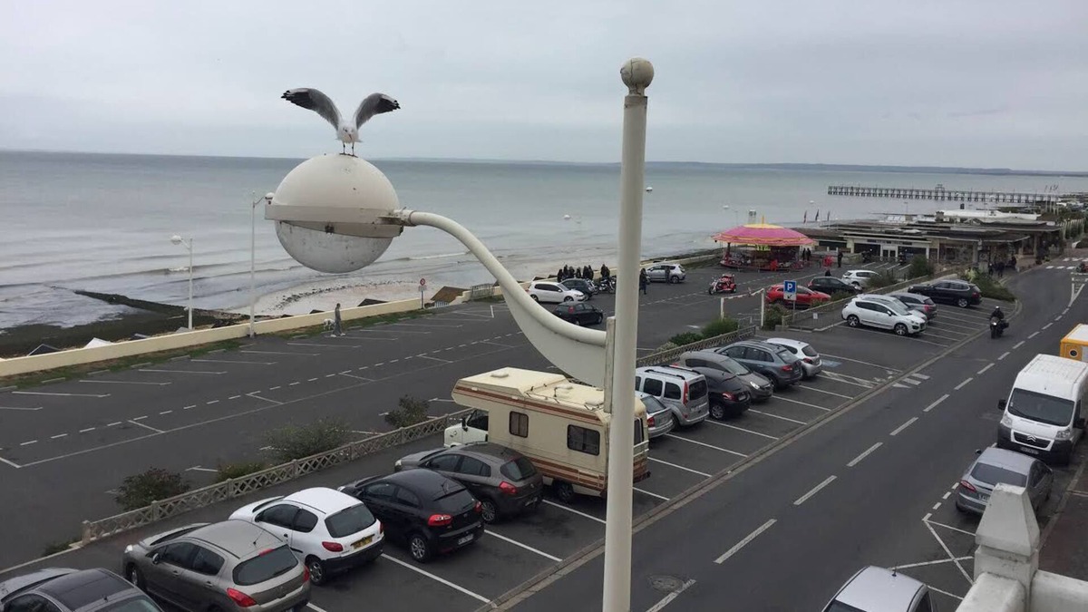 Luc-sur-Mer House | Fisherman's house on the coast of Nacre 50m from the beach