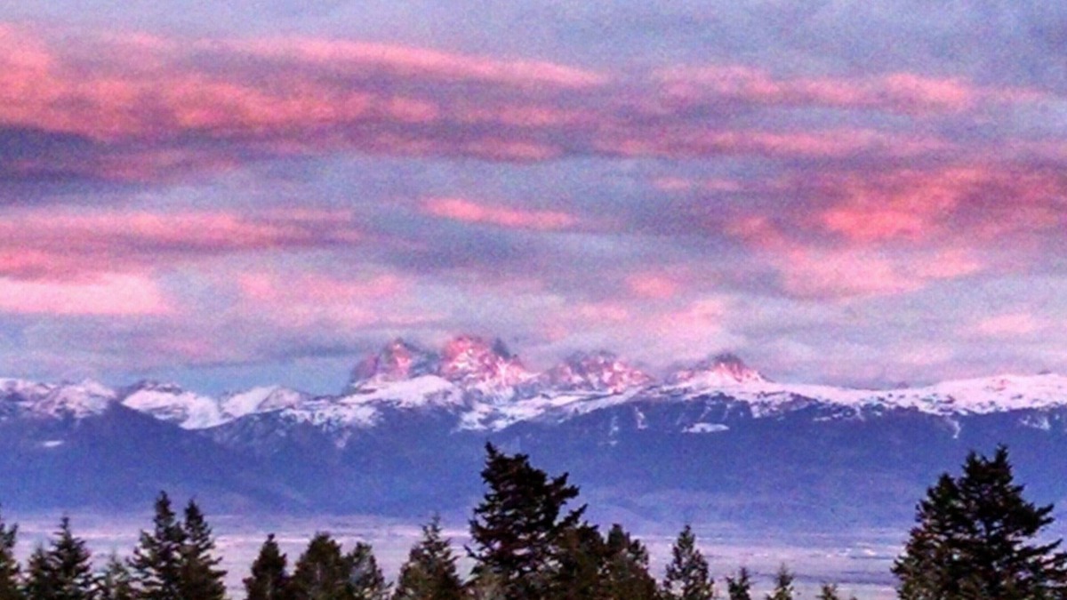 Tetonia Cabin | Fisherman's Paradise in the Gorgeous Teton Valley