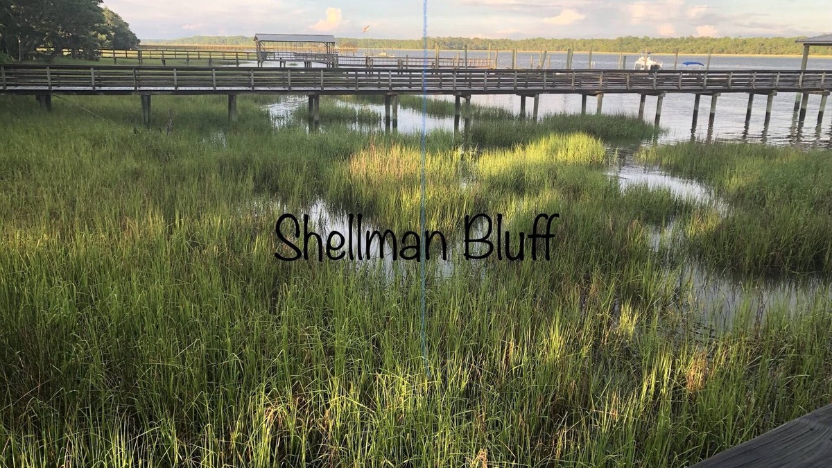 Shellman Bluff House | Fishing, or just hanging out in beautiful Shellman Bluff. minutes from Marina.