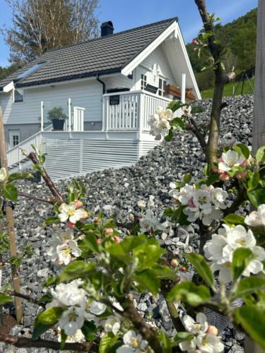 Hjelmeland Apartment | Fjord road
