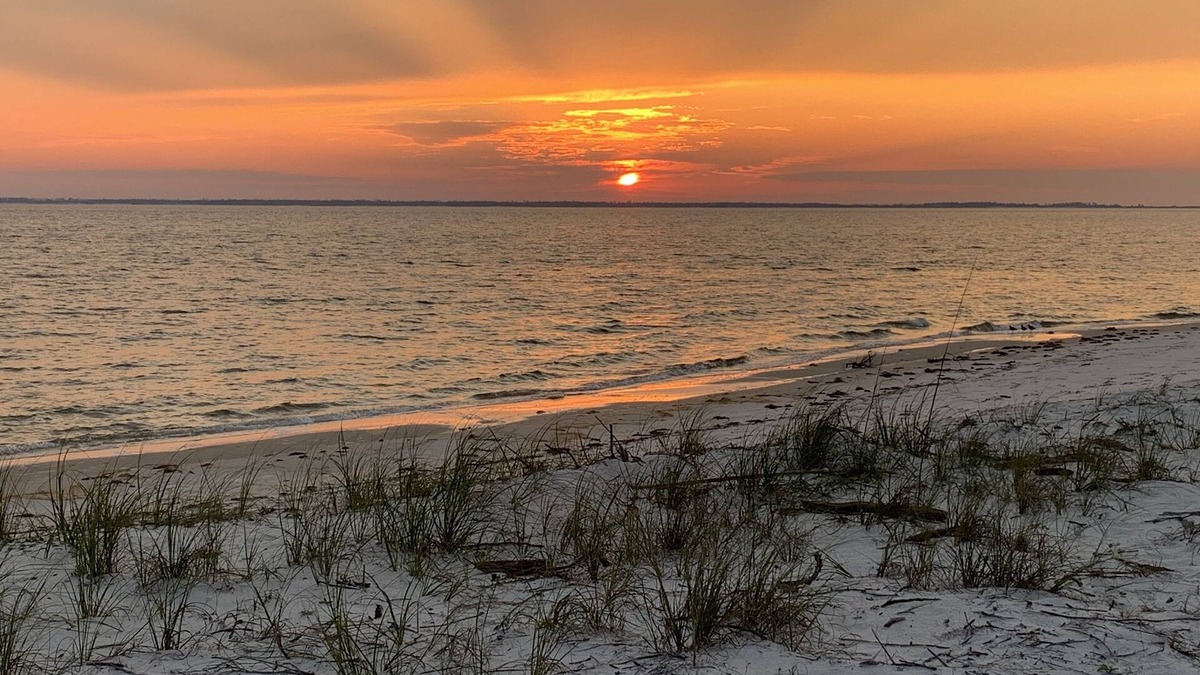 Port St. Joe Cottage | FL. Cottage, 3 Blocks to Gulf + Pet Friendly w/Fenced Lawn & Boat Parking,