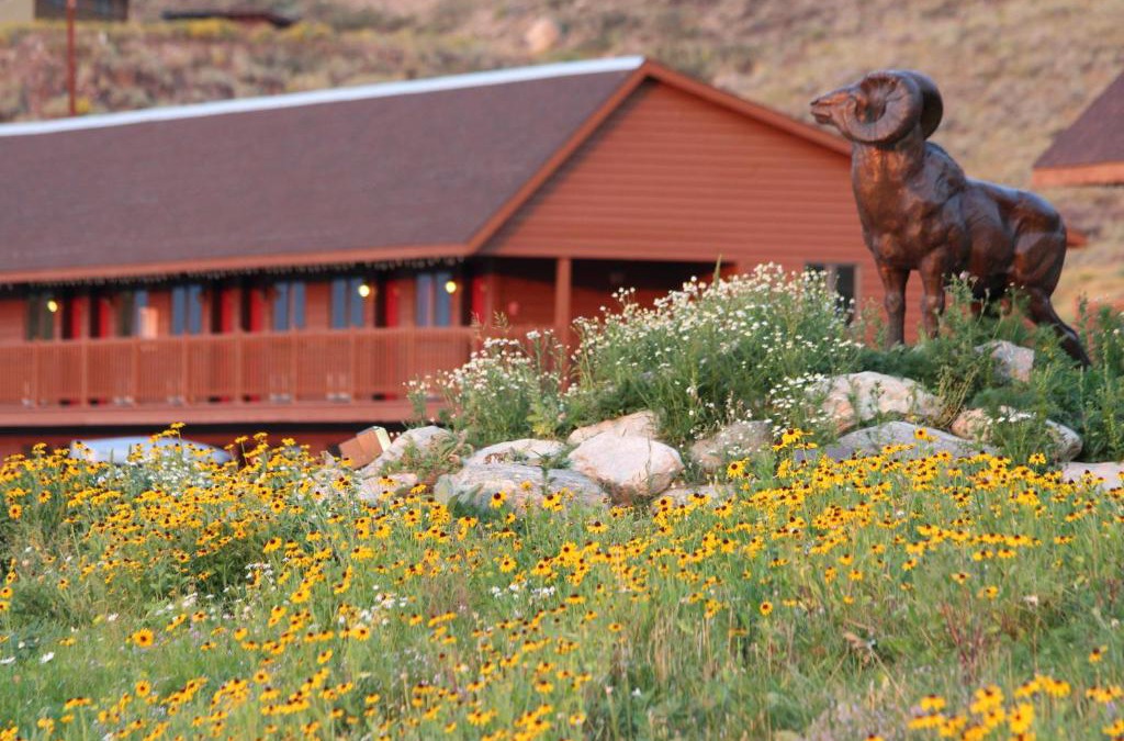 Jackson Hole Hotel | Flat Creek Inn