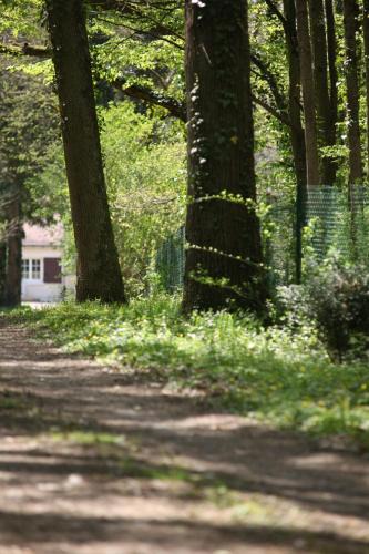 Neuille-le-Lierre Apartment | Fleurs de Brenne Gite