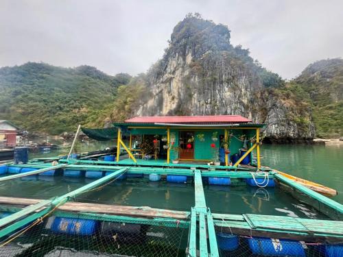 Cat Hai Boat Rental | Floating house in Cai Beo Fishing village