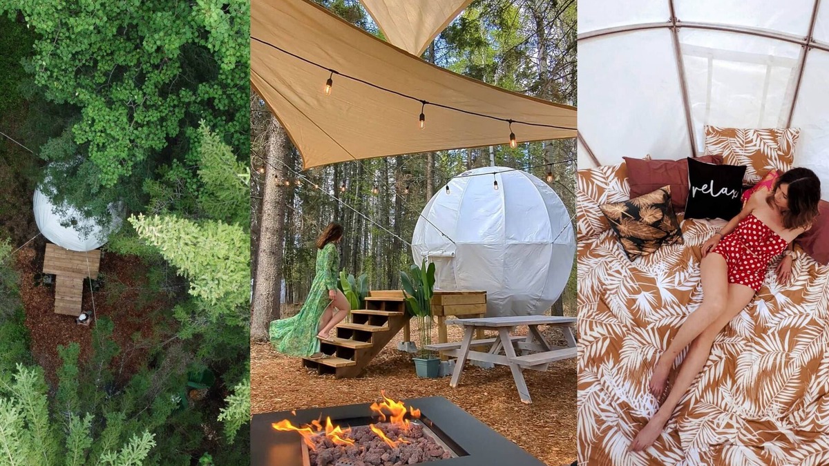 Winfield House | Floating Treehouse Cocoon - The Firefly