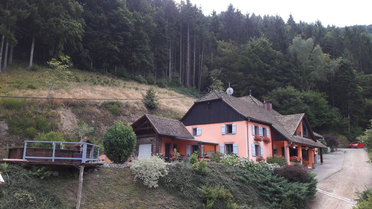Urbeis Cottage | Florent house in Alsace center