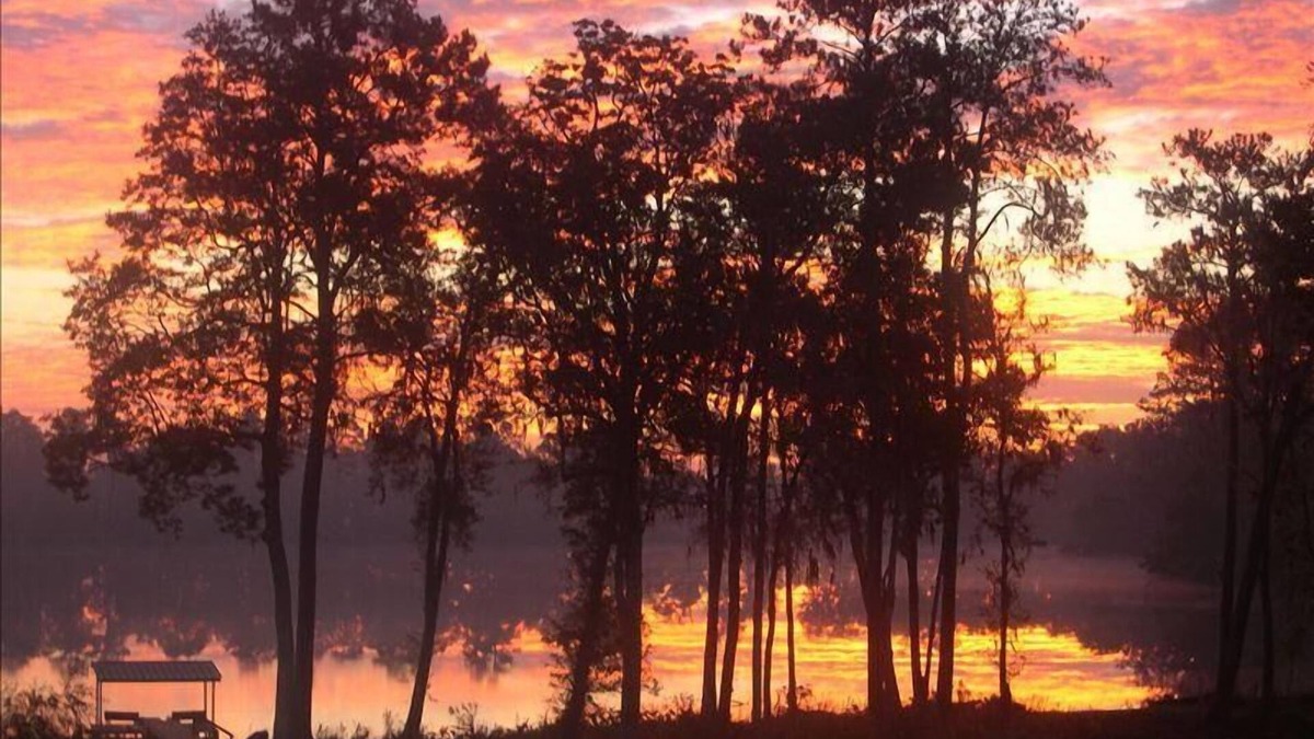Wellborn Cabin | Florida Log Cabin Lakefront