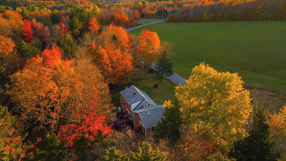 Jacksonville House | Foliage Galore! 14mi to Mt. Snow, Arcade, King Bed