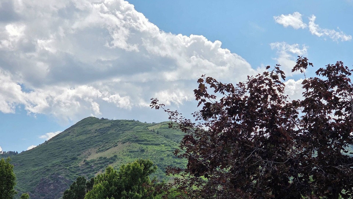 Littleton Apartment | Foothills Valley Retreat - Read Description Below
