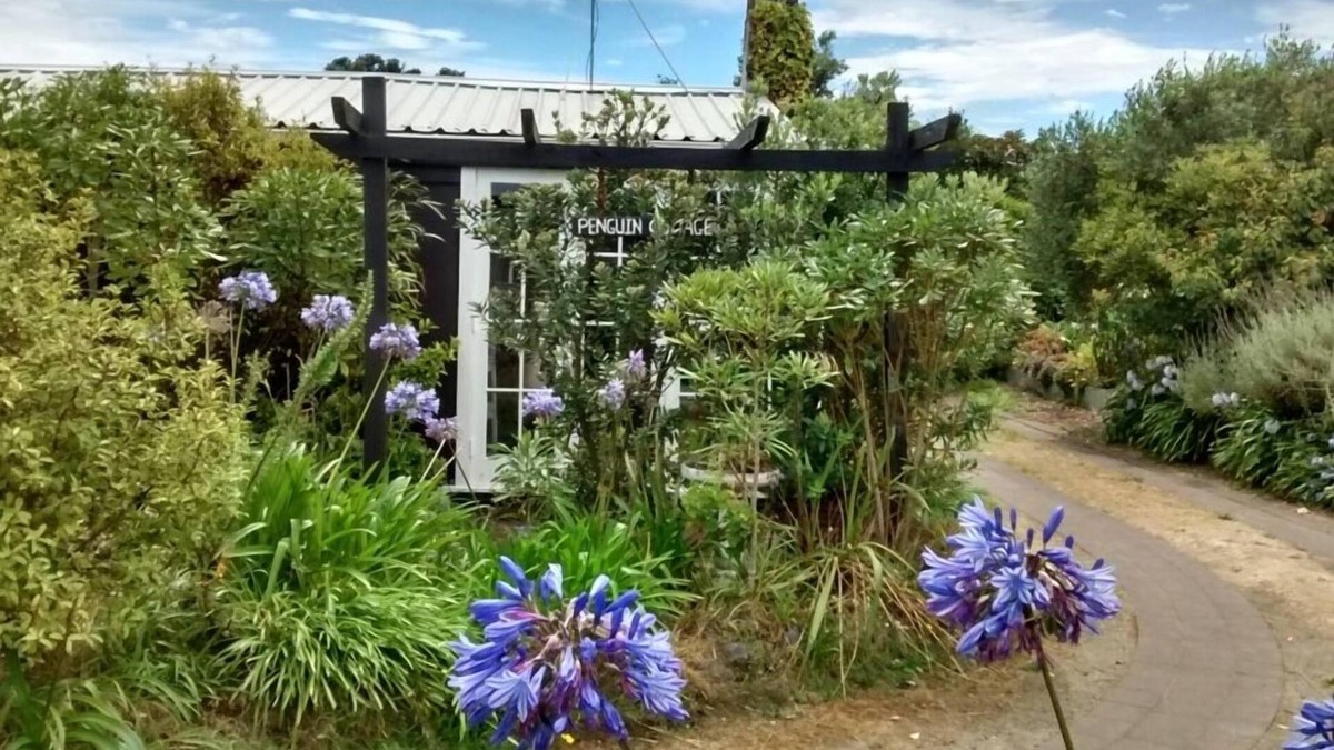 Waikanae Cottage | FOR SALE - penguin cottage / sheltered garden setting