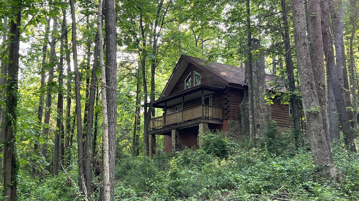 Traphill Cabin | Forest Cabin Moments from Stone Mountain