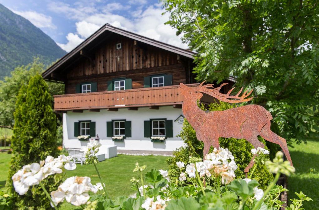 Golling an der Salzach House | Forest Chalet, 15 min to salzburg olt town, and most beautiful lakes, secluded location, 1,000 sqm garden, mountainview, panorama sauna, bath whirlpool, BBQ&bikes&sunbeds for free, up to 10 p