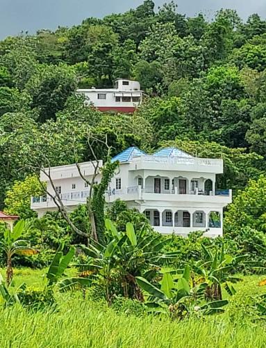 Port Antonio Apartment | Forest Cottage