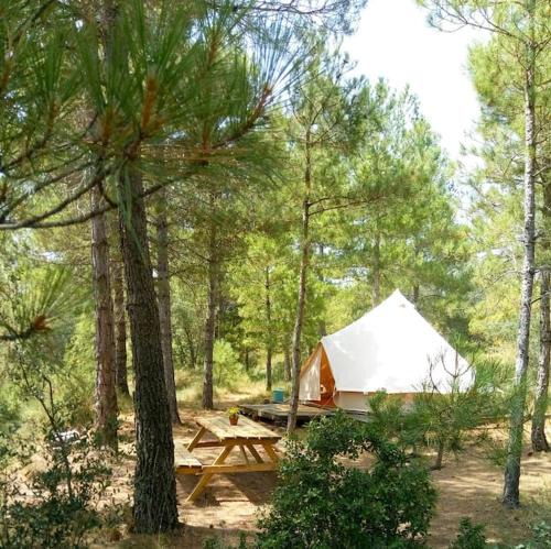 Naves Other | Forest Days