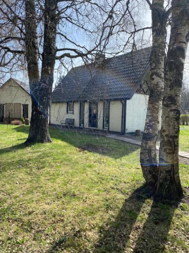 Paide House | Forest Edge House