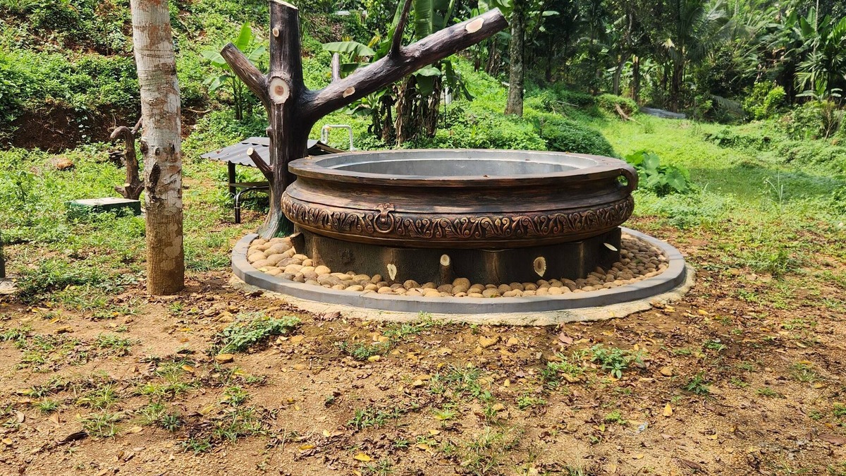 Rani Resort | Forest home where elephants roam