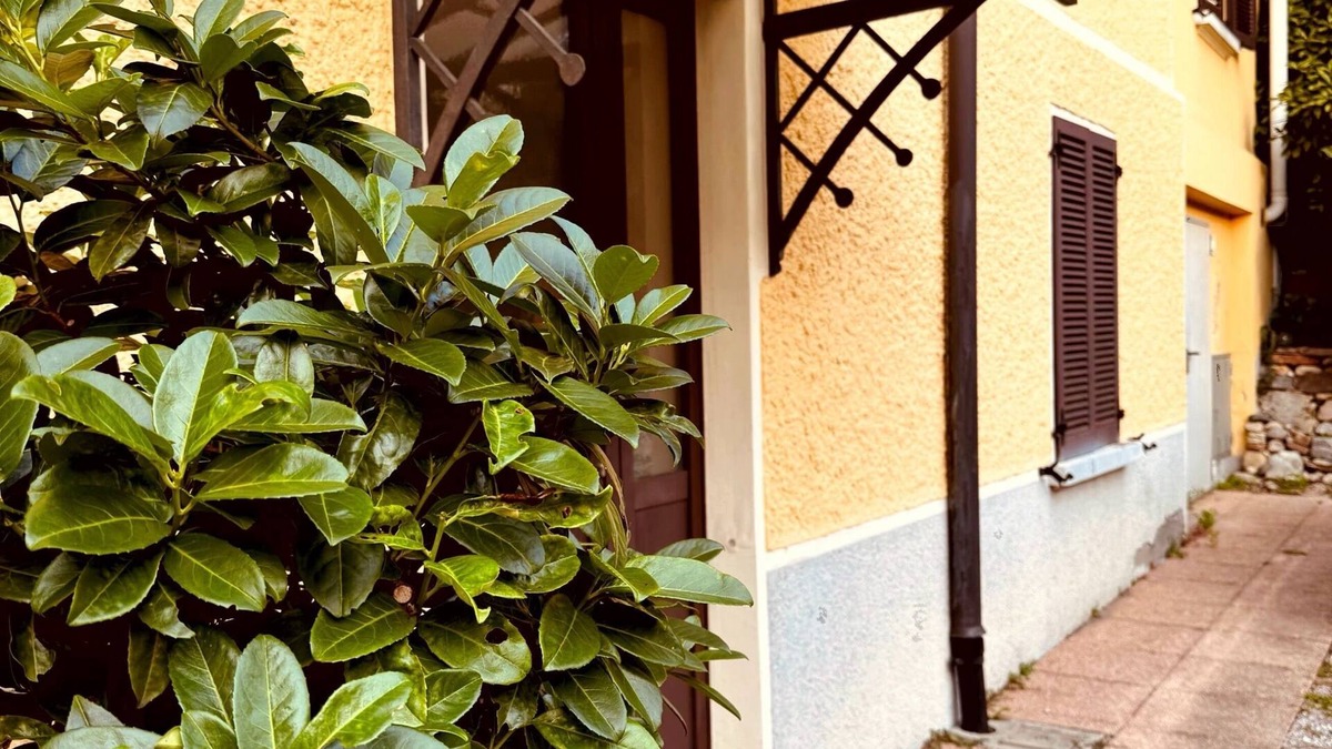 Genestrerio Apartment | Forest Living, Cozy studio apartment located in Mendrisio.