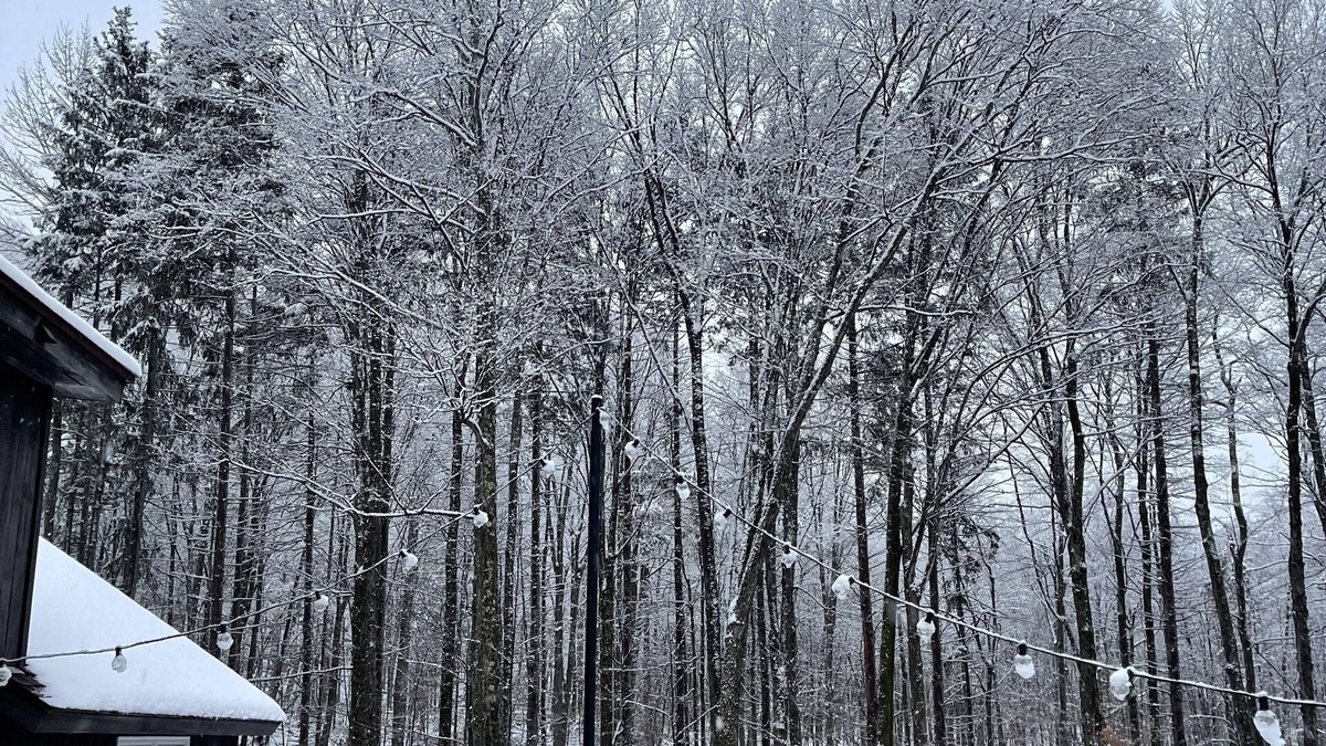 East Haven Rutland County House | Forest Mountain Escape: Beautiful Mountaintop Escape In Mendon, Vt. 20 Min To Killington/14 To Pico. 4 Bedroom Home