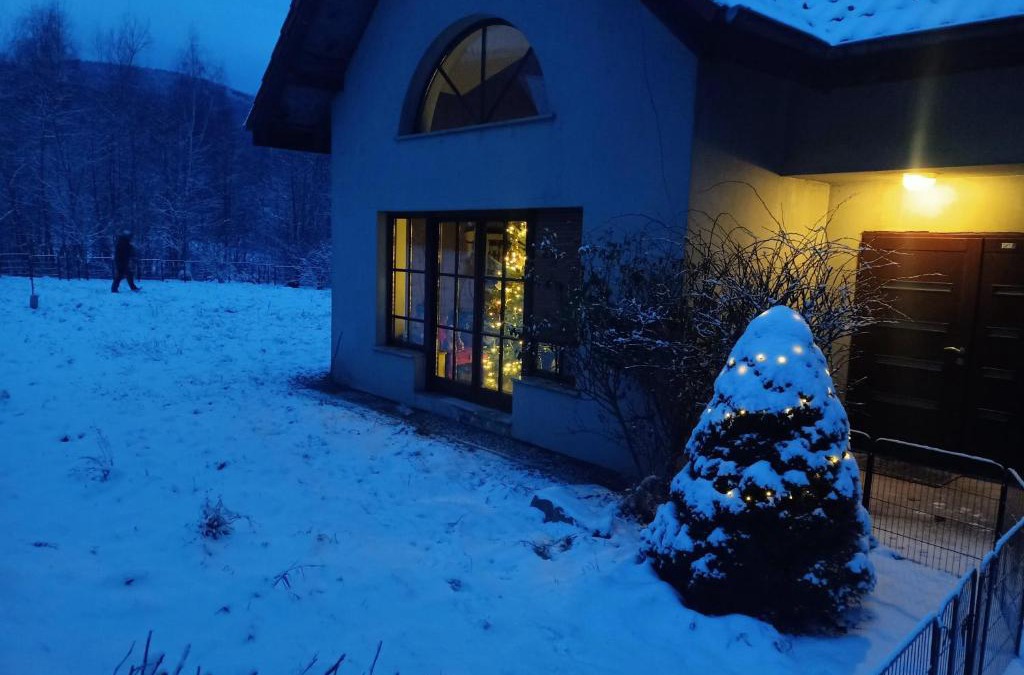 Stara Łomnica Villa | Forest