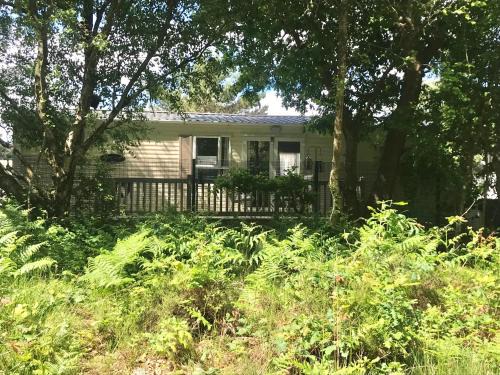 Ringwood House | Forest View at Oakdene Forest Park - Leisure Passes Included!