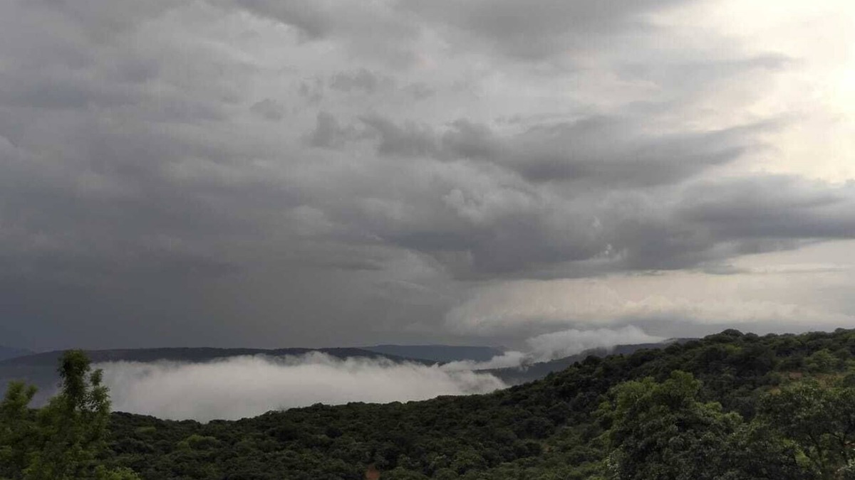 Mahabaleshwar House | FOREST VIEW BUNGALOW