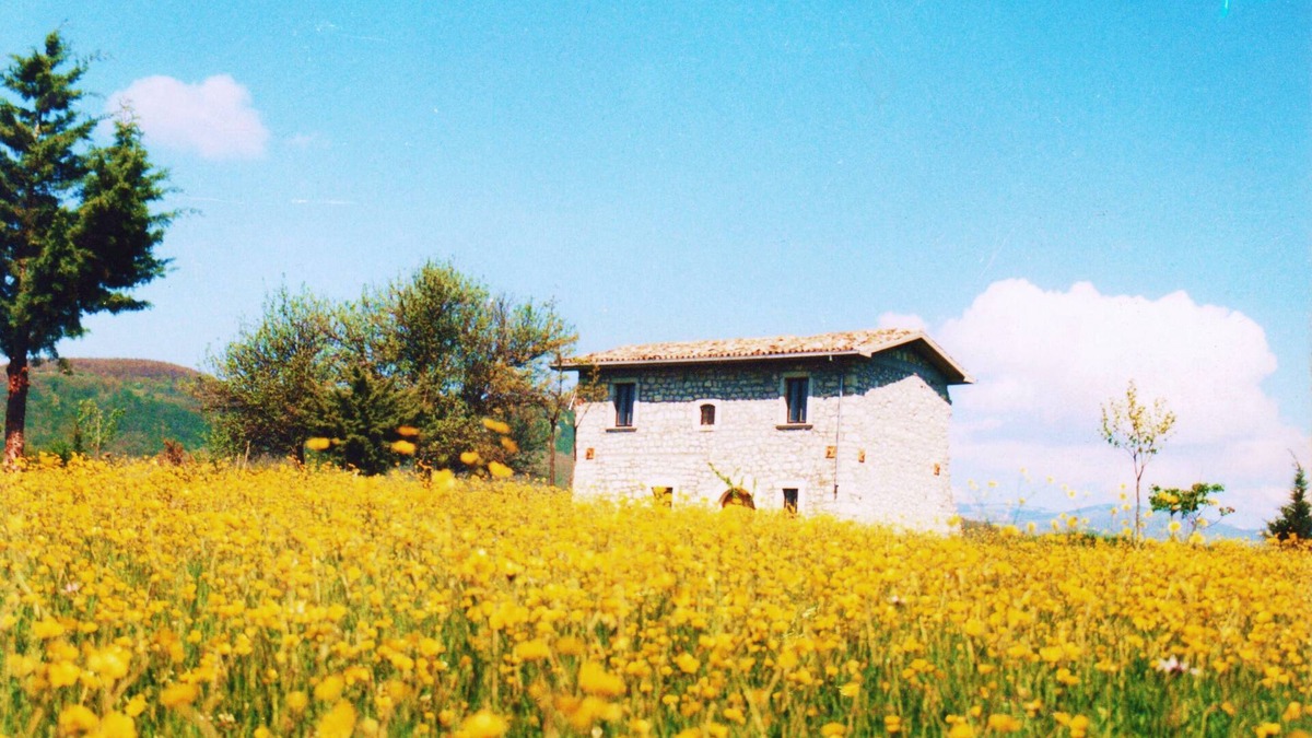 Forli del Sannio Villa | Forli Del Sannio: Mansion - Forlì del Sannio