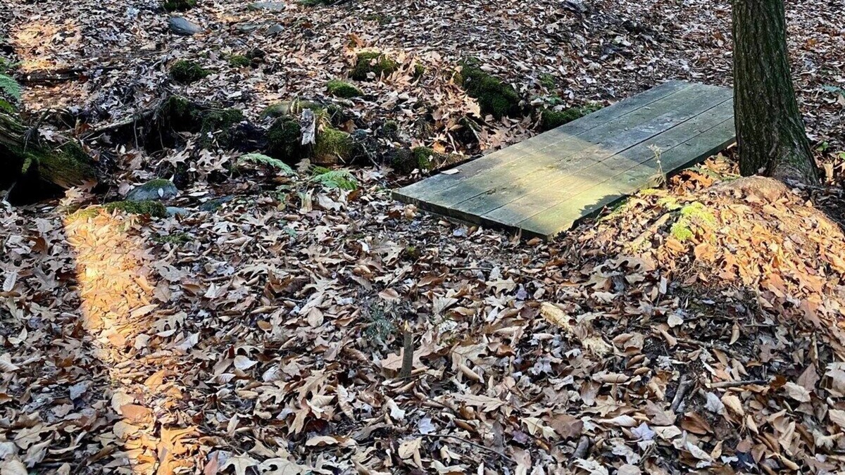 Middle Grove Apartment | former summer camp/3 cabins/glamping tents/60acres
