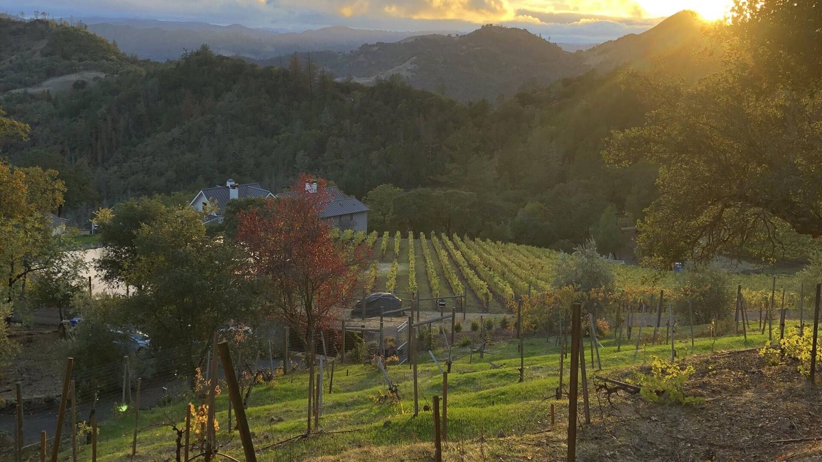 Napa County House | Formerly the Old Toll Road Inn - 4 Beds/4.5 Baths