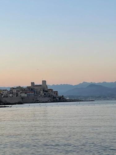 Antibes Apartment | Forum