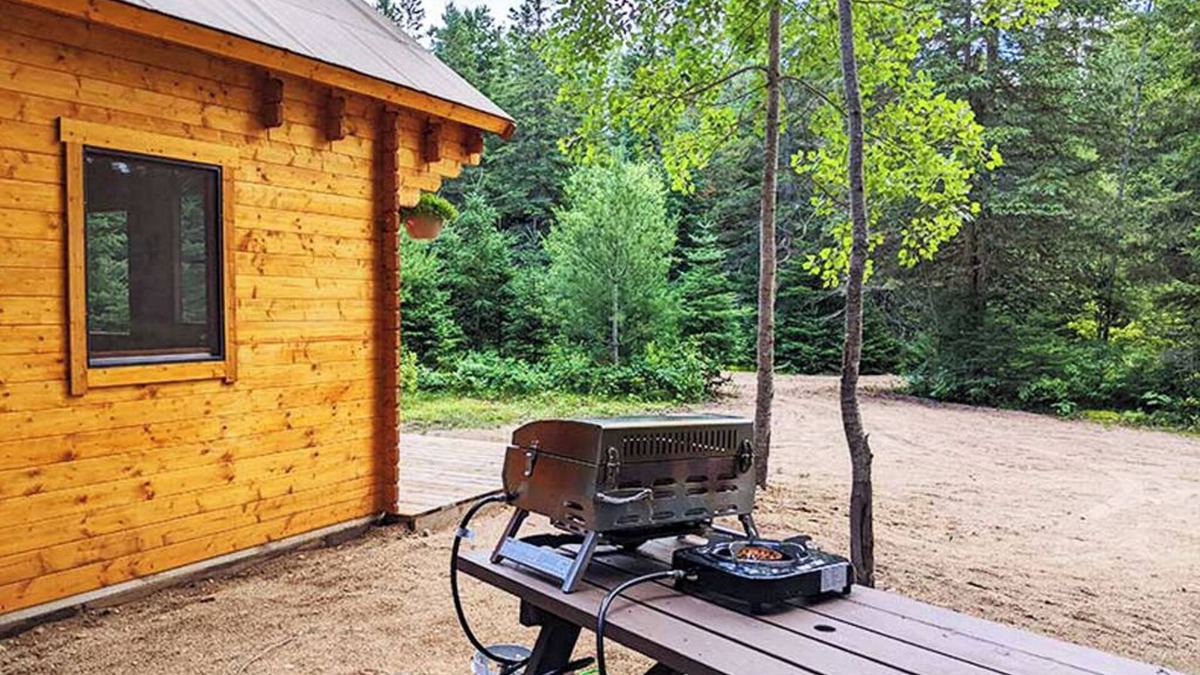 Hastings Highlands Cabin | Fox Den #3