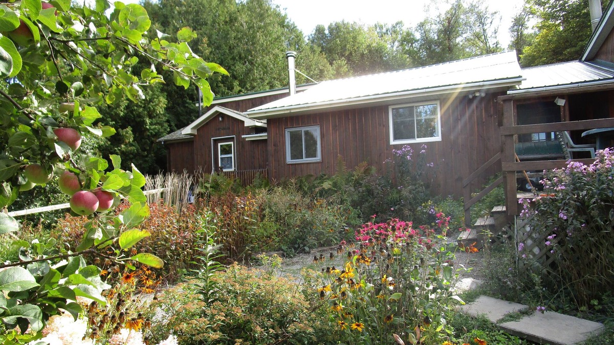 Bonnechere Valley Apartment | Foymount Farm stay with horses, Family and pet friendly